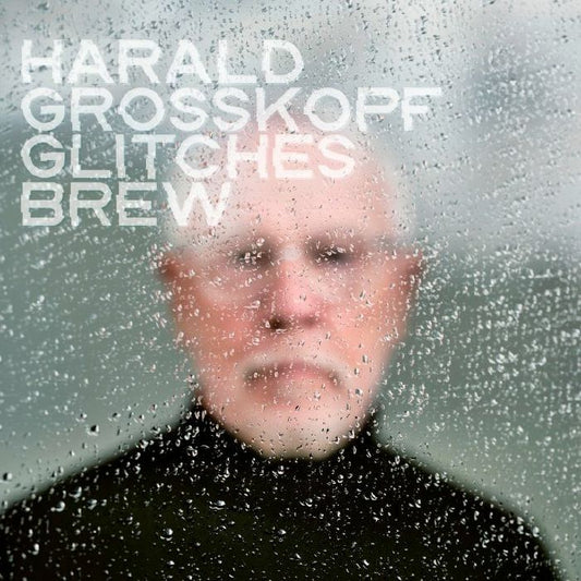 HARALD GROSSKOPF - GLITCHES BREW [CD]