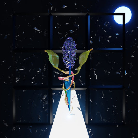 Darian Donovan Thomas - A Room With Many Doors : Night