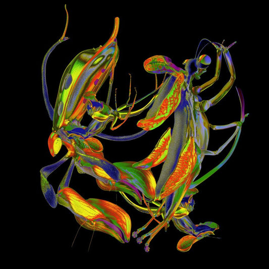 DJ Nobu - Shō