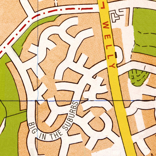 Welly - Big In The Suburbs [CD]