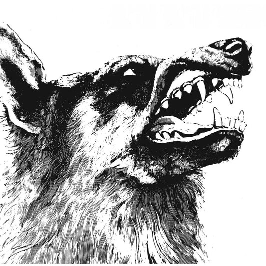 Crippled Black Phoenix - I, Vigilante