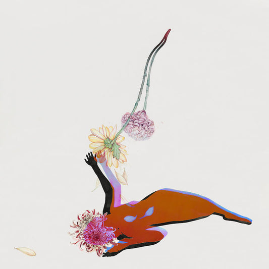 FUTURE ISLANDS - THE FAR FIELD