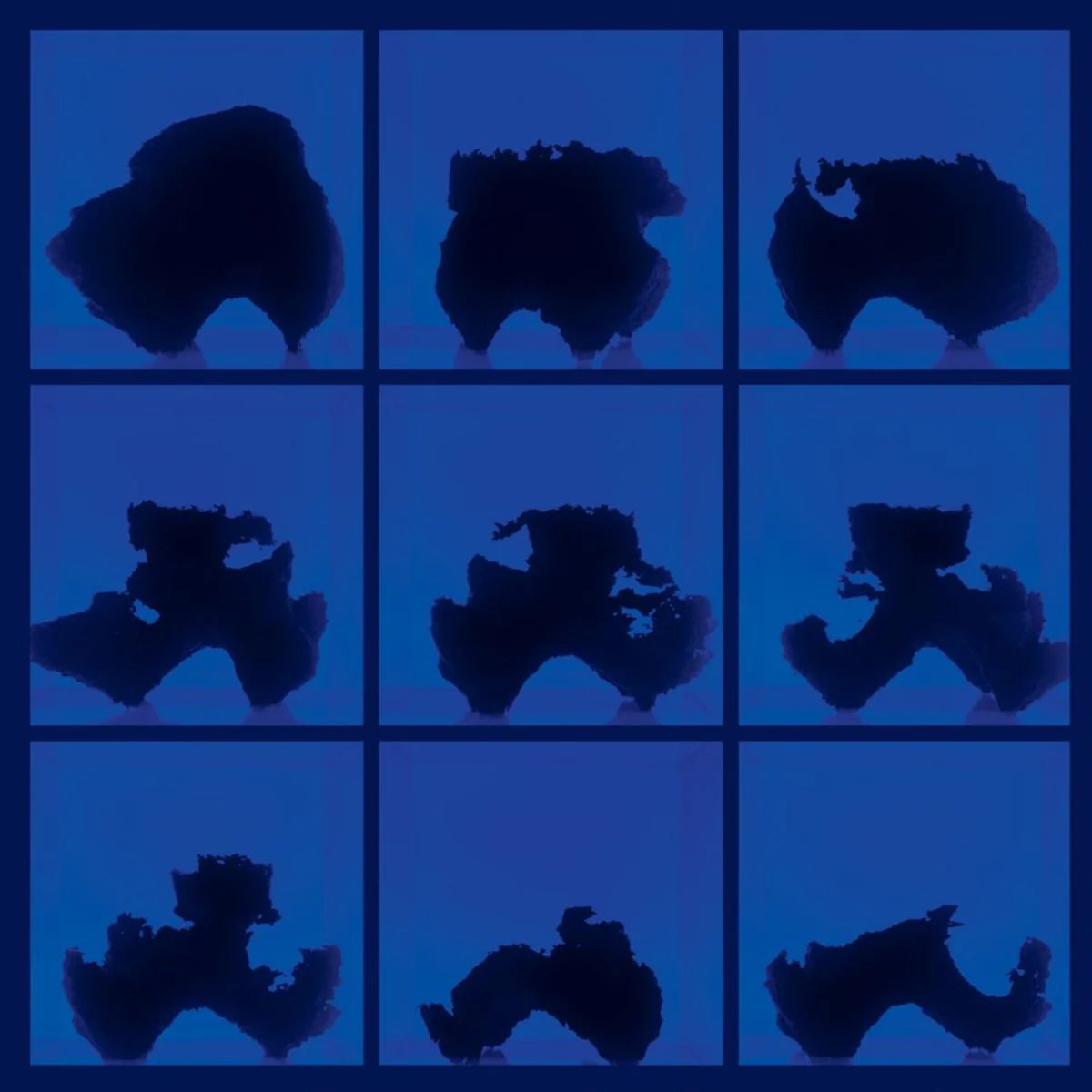 Birth (Defects) - Fictional Days [Black / Cobalt Blue LP]