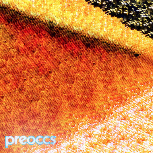 PREOCCUPATIONS - Mur/Ponr (Yellow 7" Vinyl)