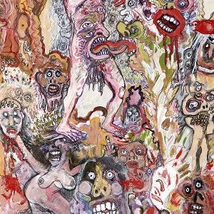 The Bug Club - Very Human Features [CD]