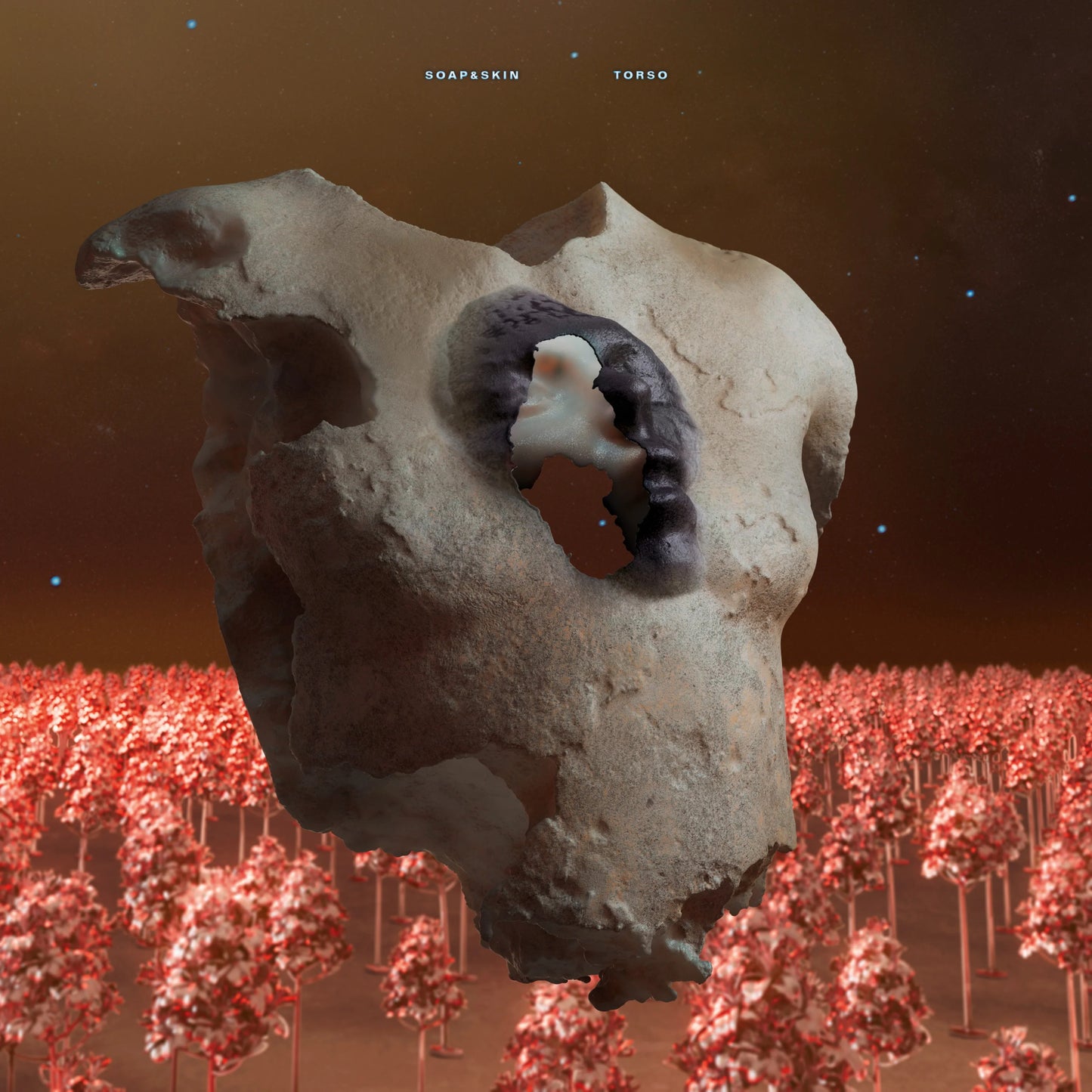 Soap&Skin - TORSO [2LP]