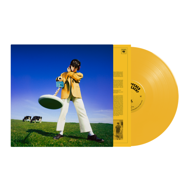 Declan McKenna - What Happened to the Beach? [Sun Yellow Vinyl]