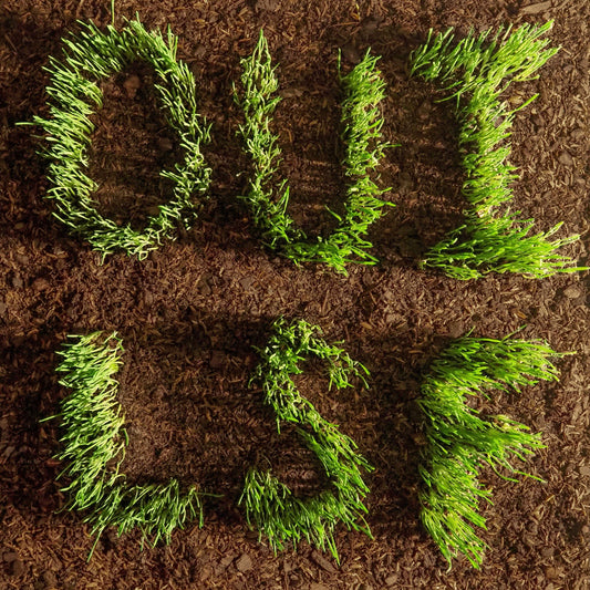 Les Savy Fav - OUI, LSF [CD]