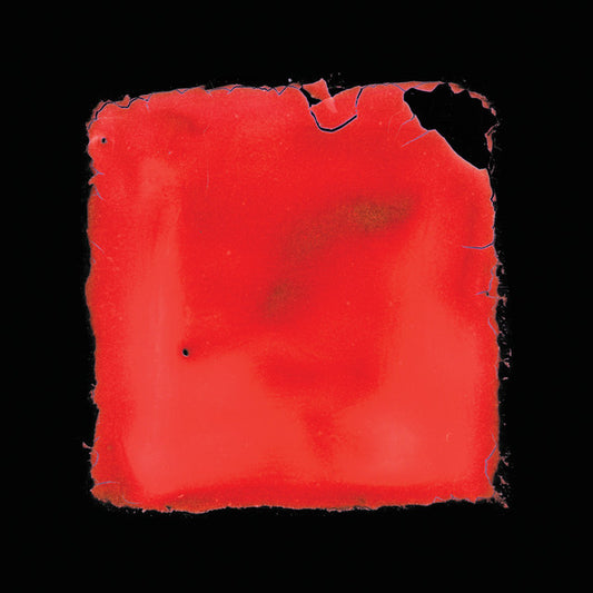 salvia palth - last chance to see [2x12" Vinyl]