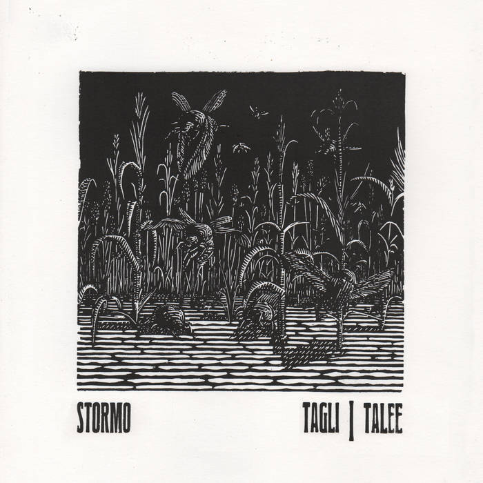 STORMO - Tagli/Talee [Vinyl]