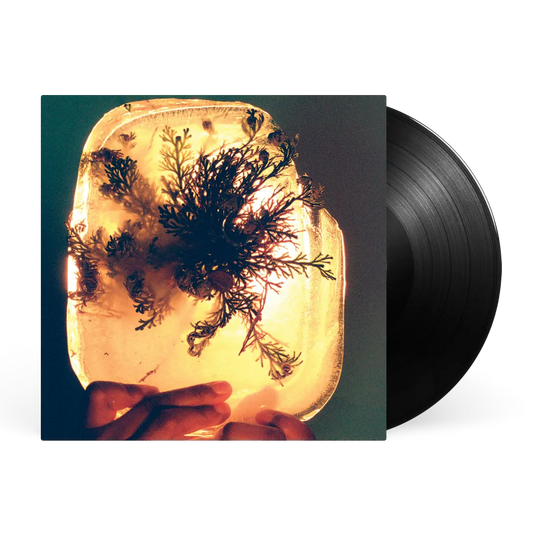 L'Rain - fata morgana [Black Vinyl]
