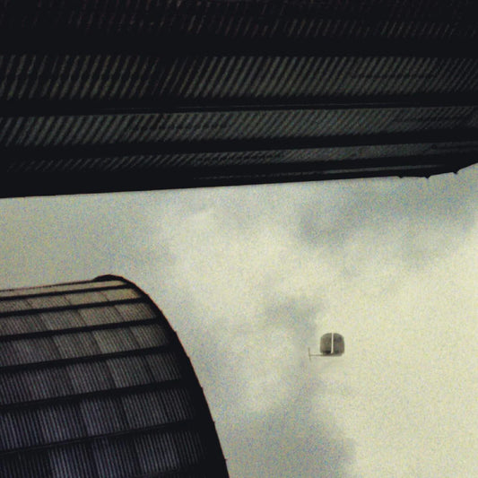 Bogus Blimp - Rdtr [Black Vinyl]