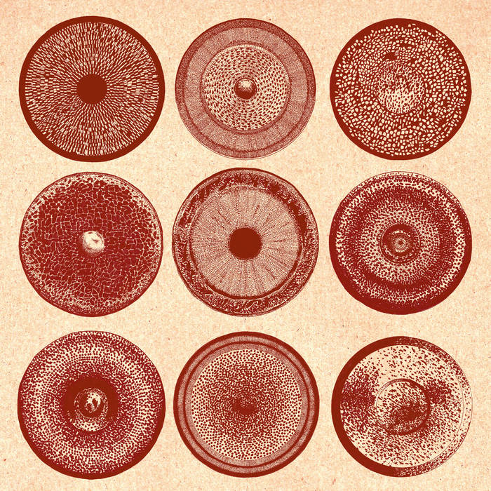 ENSEMBLE NIST-NAH - Spilla [LP]