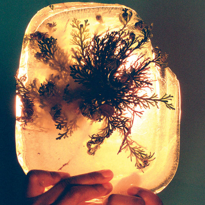 L'Rain - fata morgana [Rose of Jericho Glow (gold)]