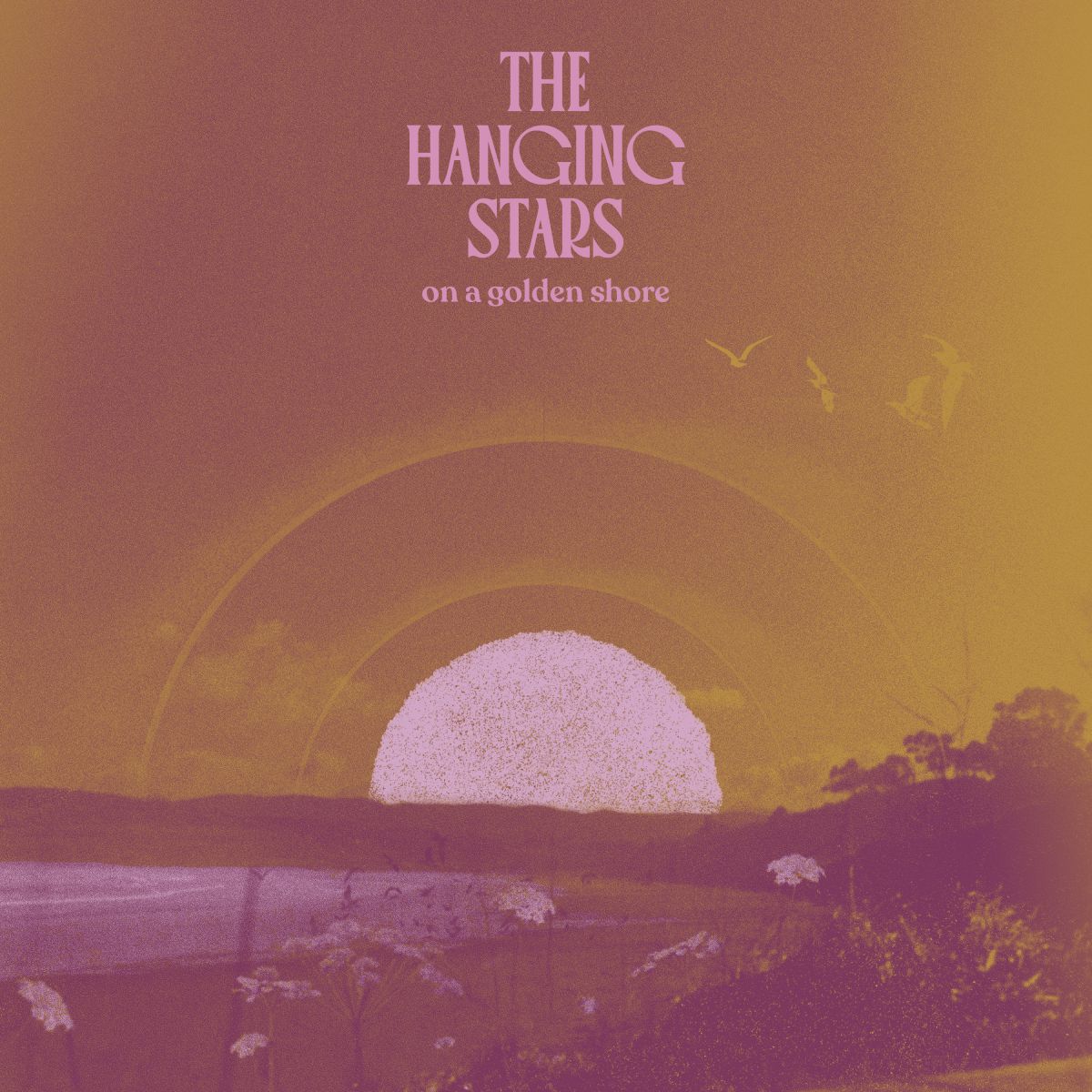 The Hanging Stars - On a Golden Shore [Vinyl]