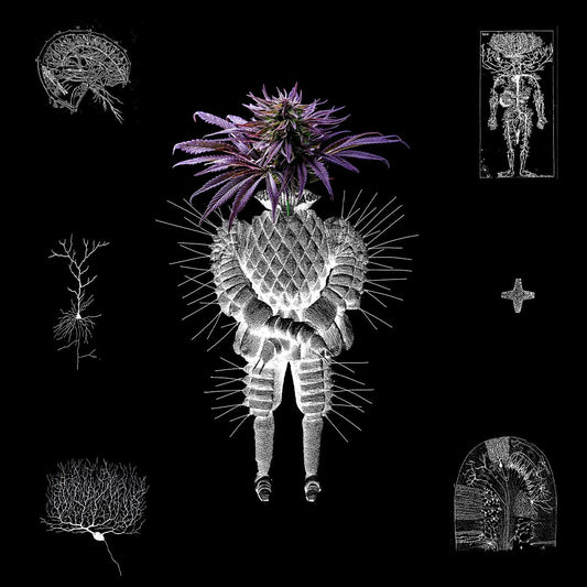 altarf / denev - 123.ro - VA04 [printed sleeve / 180 grams]