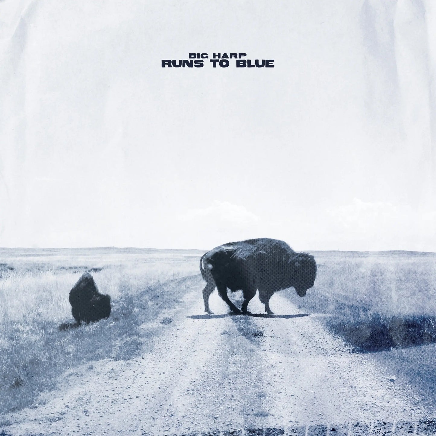 BIG HARP - RUNS TO BLUE [Opaque blue vinyl]