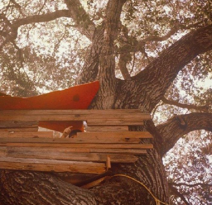 The Backseat Lovers - Waiting to Spill [LP]