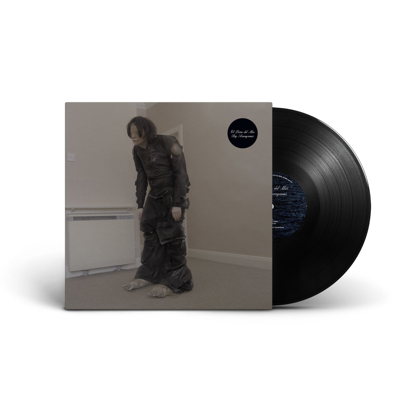 El Perro del Mar - Big Anonymous [LP]