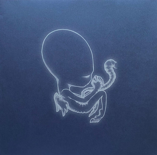 Sigur Rós - Ágætis Byrjun (2LP)