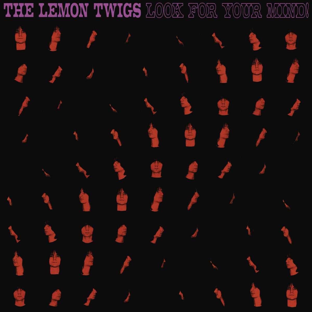 The Lemon Twigs - Look For You Mind! [CD]