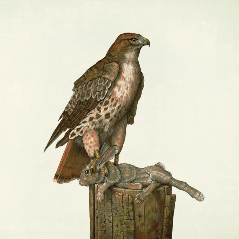 FEDERALE - NO JUSTICE [CD]