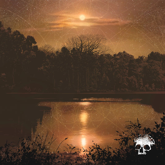 Planes Mistaken For Stars - Do You Still Love Me? [CD]