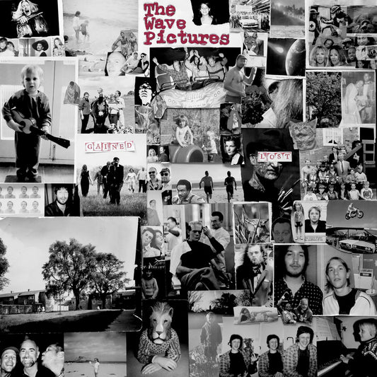 The Wave Pictures - Gained/Lost [CD]
