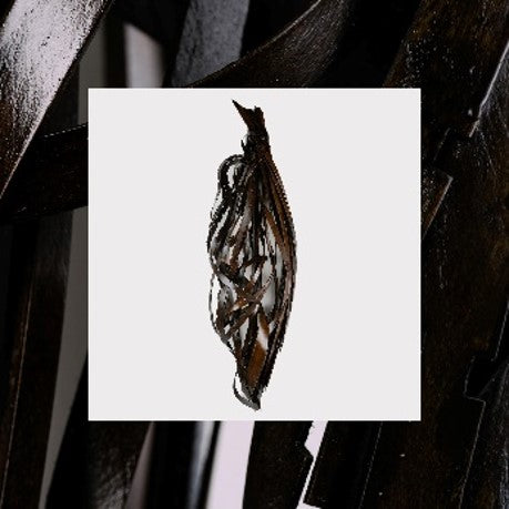 Into It. Over It. - Interesting Decisions