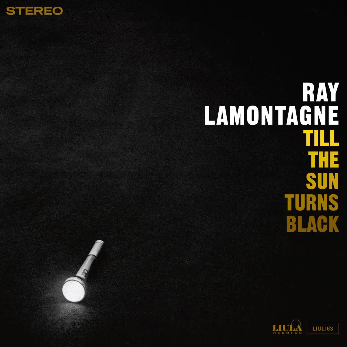 Ray LaMontagne - Till the Sun Turns Black [LP]