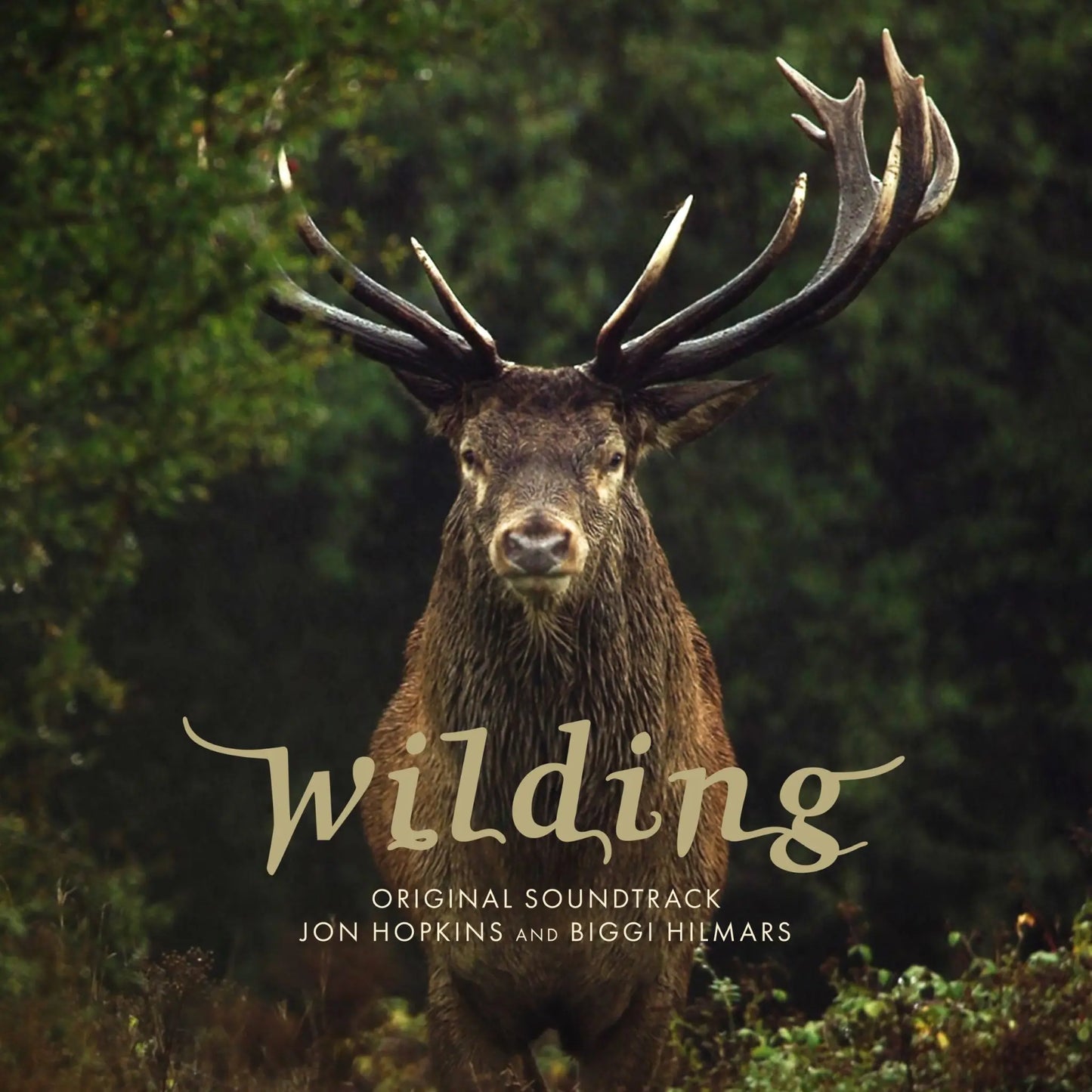Jon Hopkins & Biggi Hilmars - Wilding (Original Soundtrack) [CD]