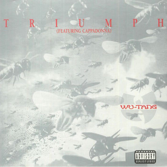 Wu Tang Clan - Triumph/Heaterz [Silver 7" Vinyl]