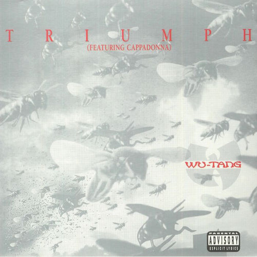 Wu Tang Clan - Triumph/Heaterz [Silver 7" Vinyl]