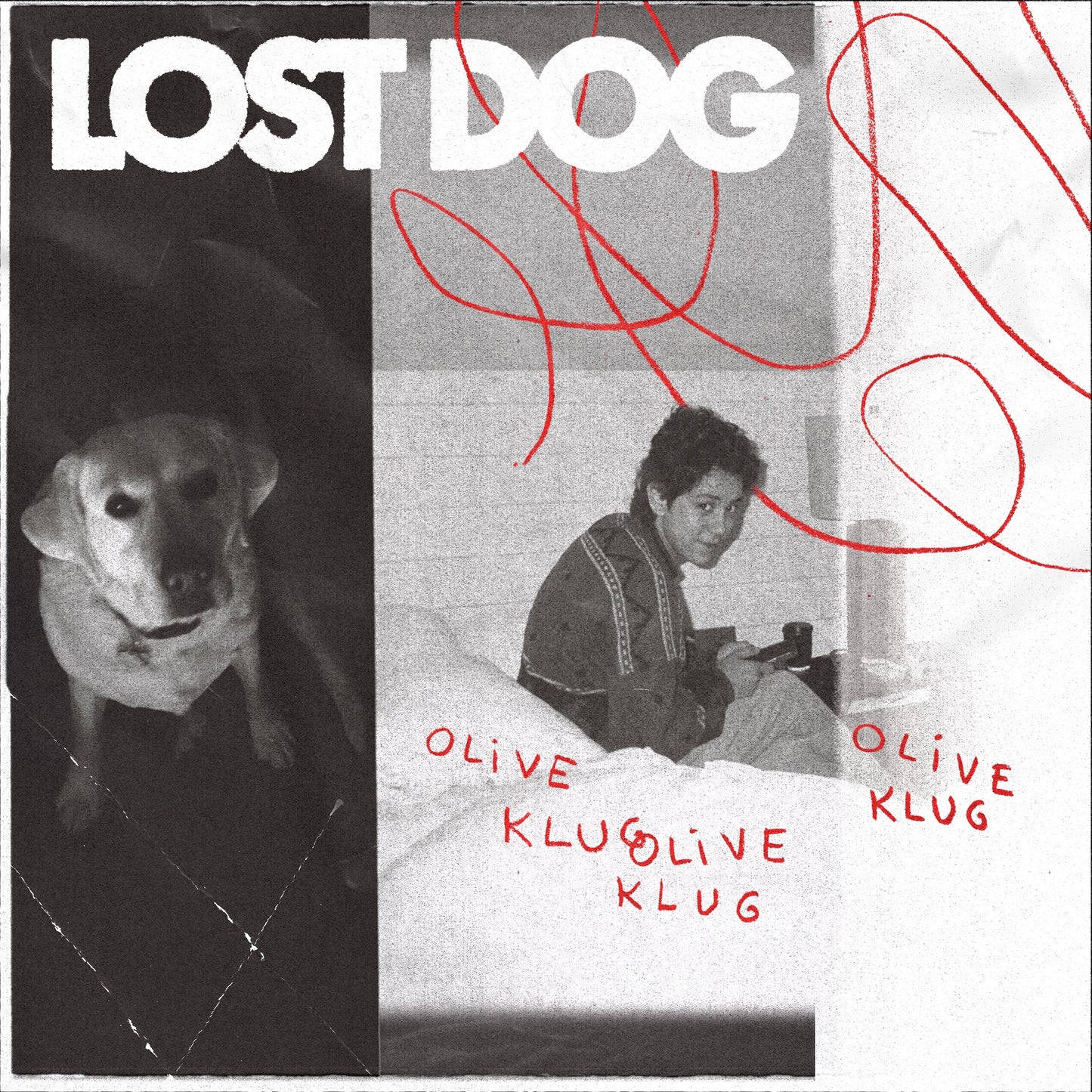 Olive Klug - Lost Dog