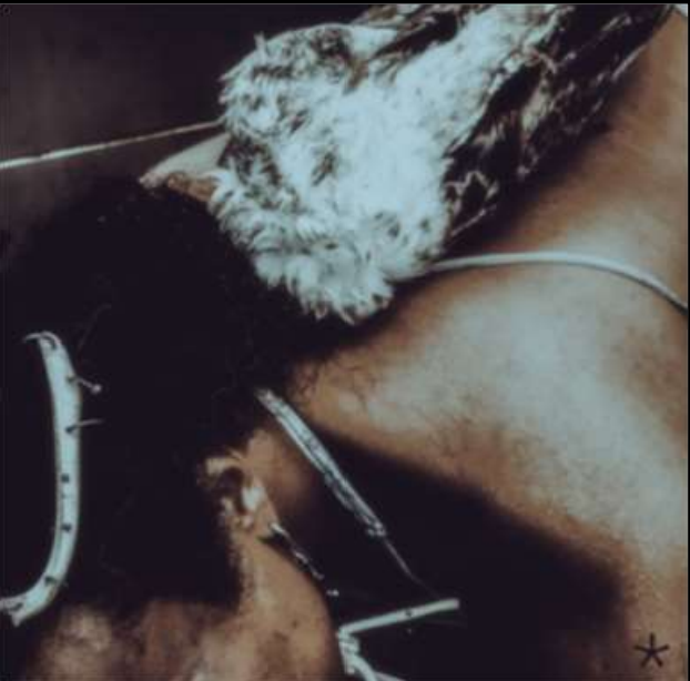 Iceboy Violet - Not a Dream But a Controlled Explosion [Cassette]