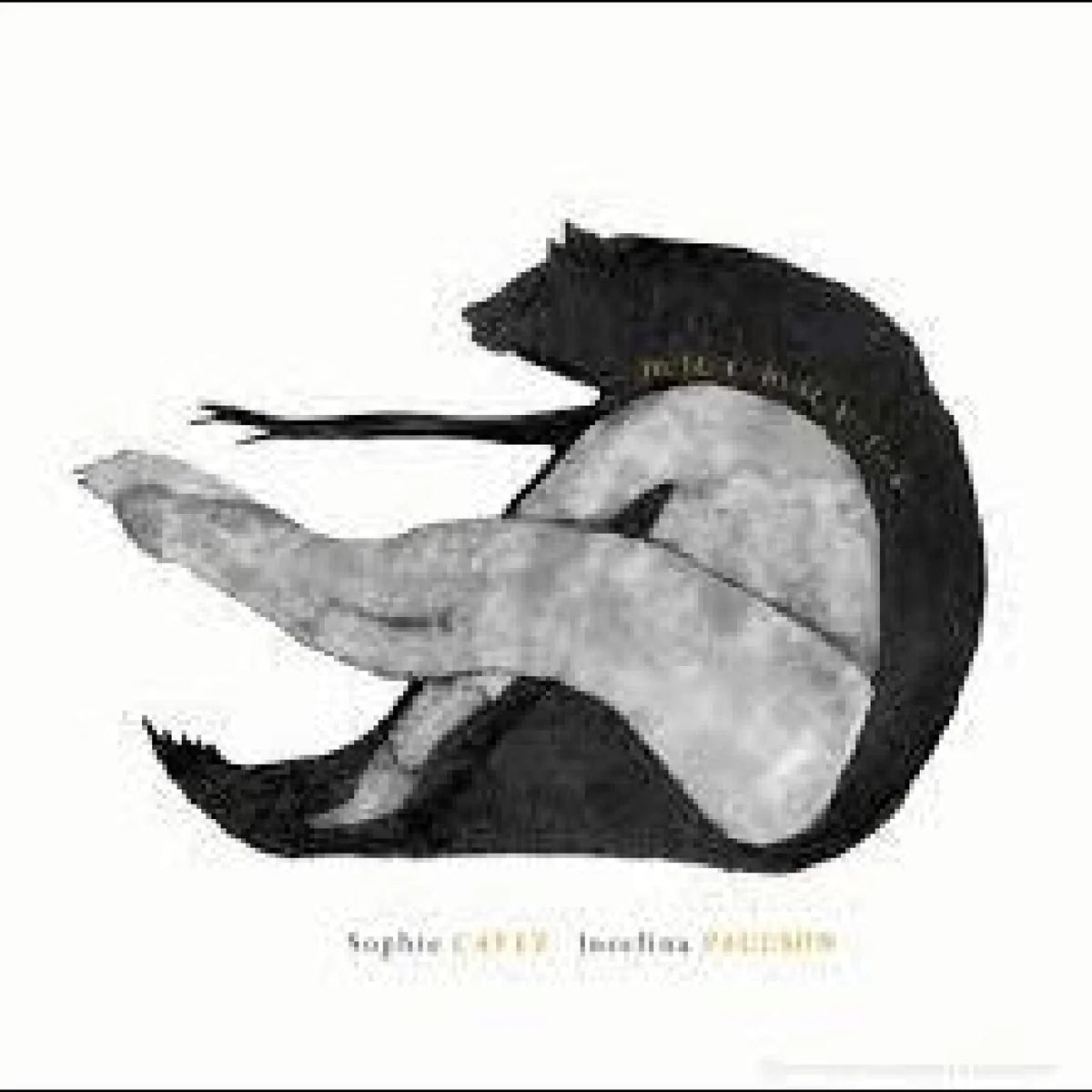 Cavez/Paulson - Murmures [CD]
