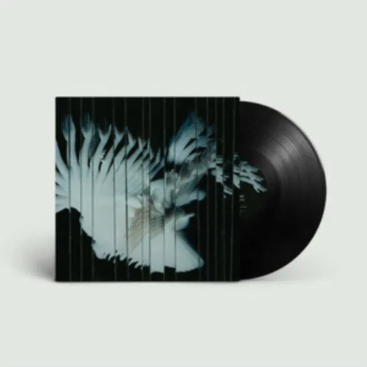 SCALER - ENDLESSLY