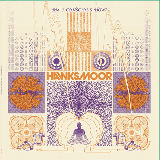 HAWKSMOOR - AM I CONSCIOUS NOW ?