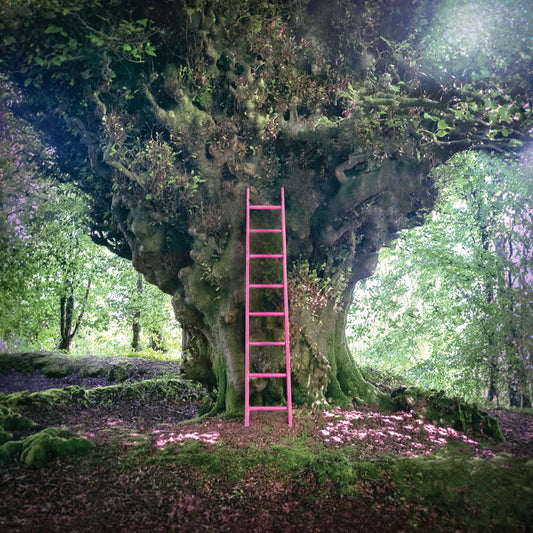 Simon Chesterfield - Simon Chesterfield [10" Vinyl]