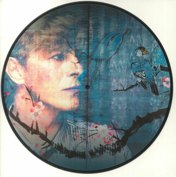 DAVID BOWIE - Live At The Tokyo Dome. Japan - 16Th May 1990 (3LP Picture Disc)