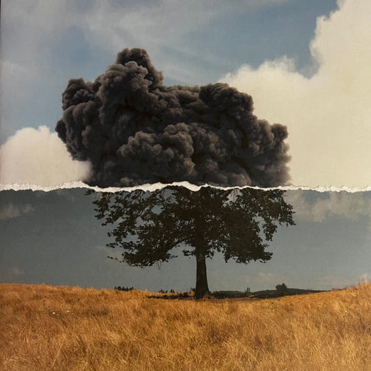 Wilkinson - Cognition