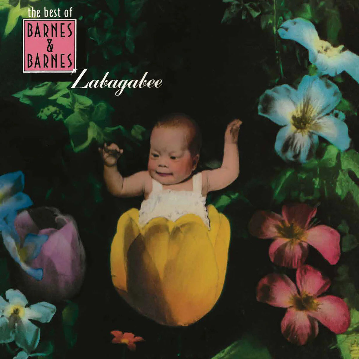 Barnes & Barnes - Zabagabee: The Best Of Barnes & Barnes [CD]