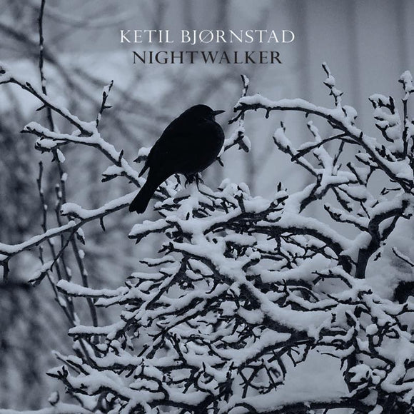 Ketil Bjornstad - Nightwalker [CD]