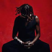 VEEKO - HOUSE OF BIRDS [CD]