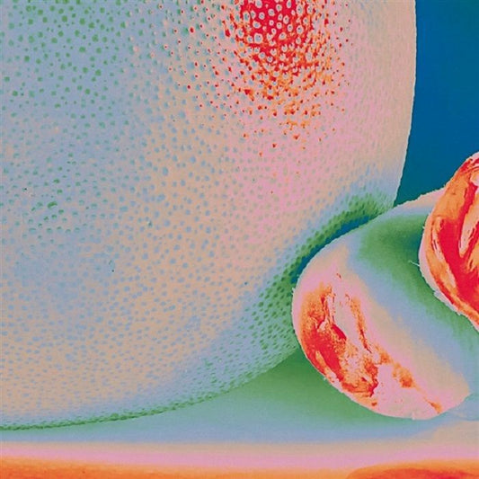 CITRUS CITRUS - ALBEDO MASSIMA