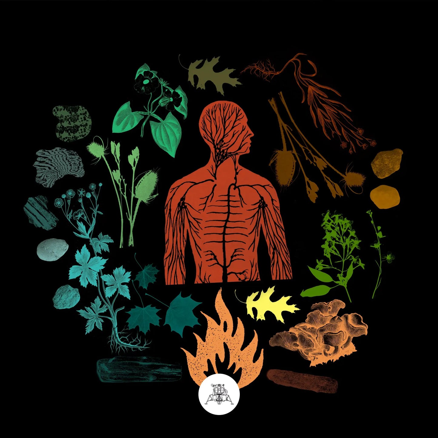 Camp Of Wolves - Bear Creek [CD]