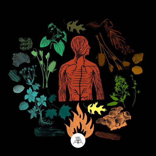 Camp Of Wolves - Bear Creek [CD]