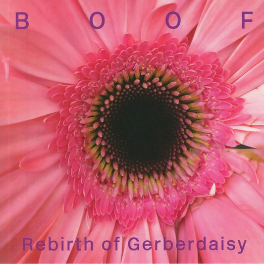 BOOF - REBIRTH OF GERBERDAISY [2LP]