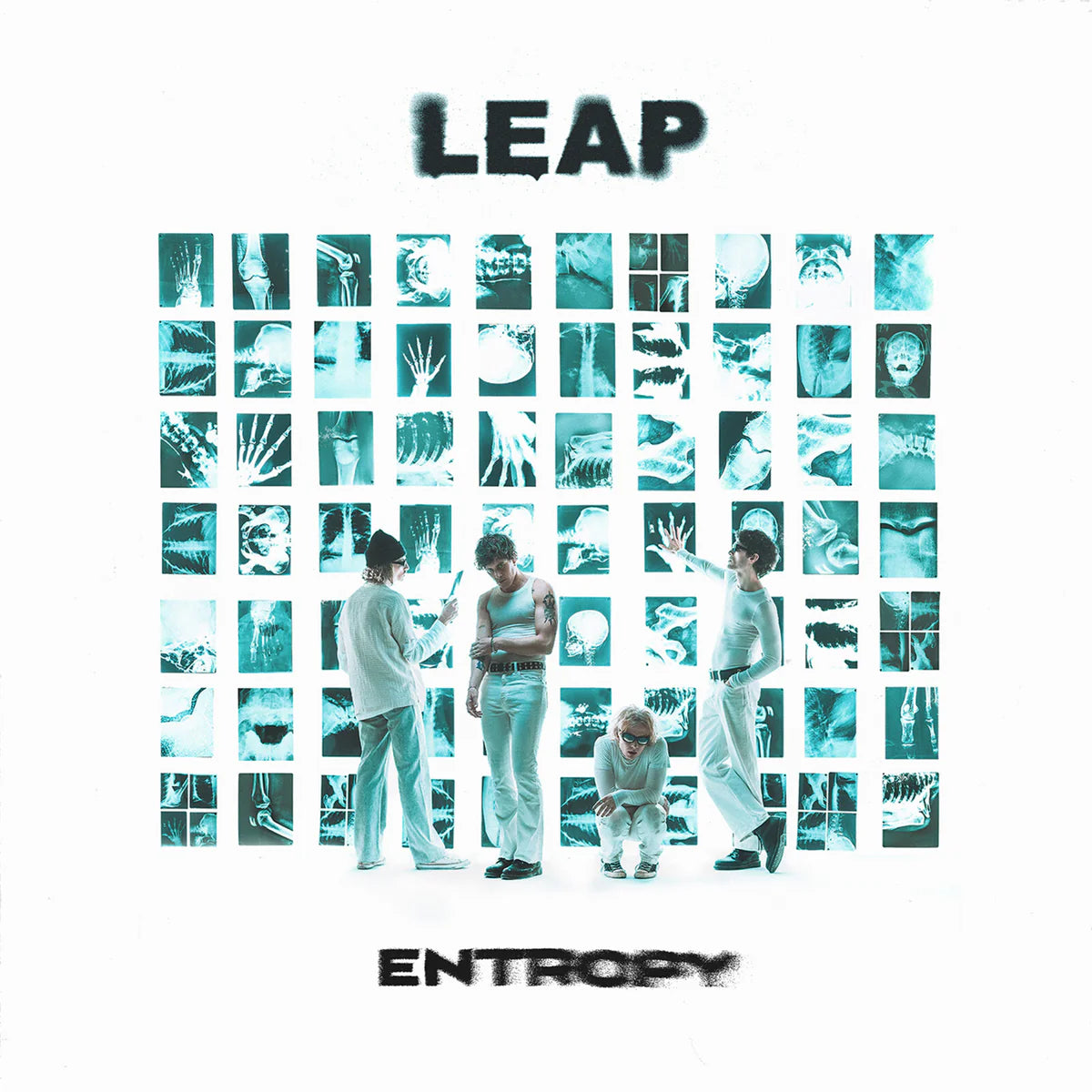 LEAP - Entropy [White LP]