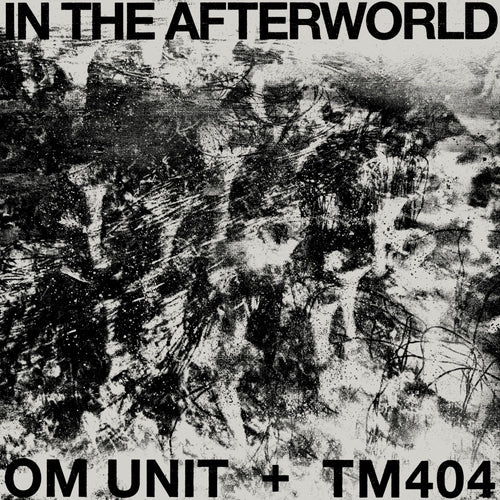 Om Unit + TM404 - In The Afterworld (LP)